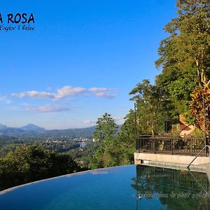 Villa Rosa